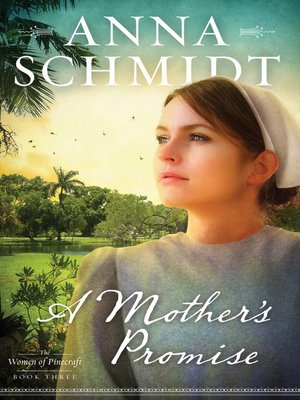 cover image of Mother's Promise
